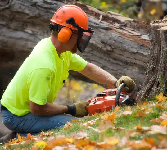 tree services Wingate